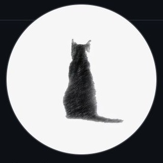 catking01 的黑猫头像